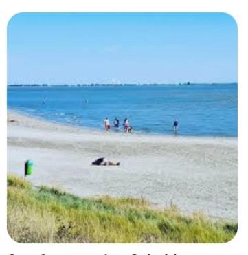 'T Groentje Baarland Exterior foto